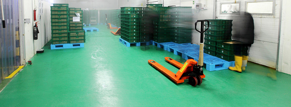 Distribution & Warehousing