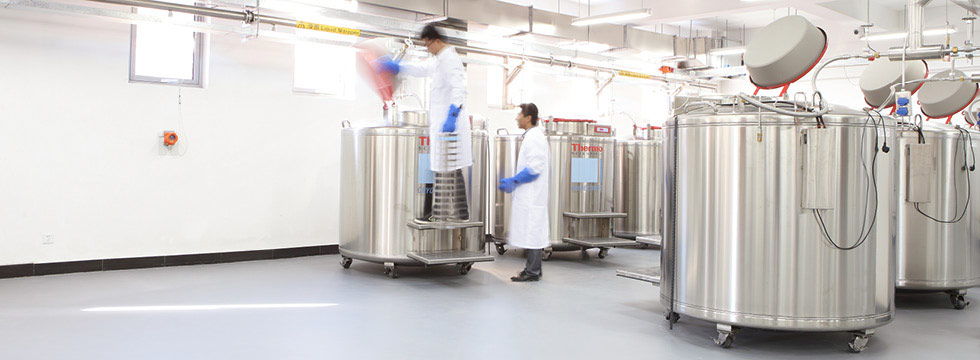 Antistatic Resins